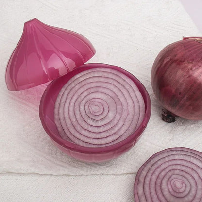 organisateur famille frigo ensemble pratiko oignon