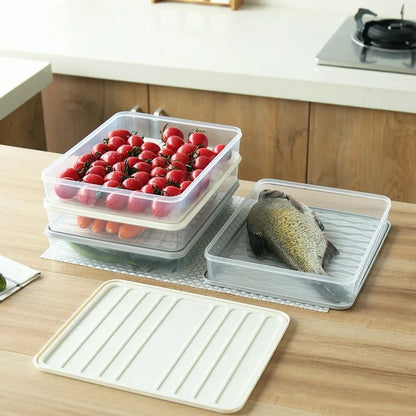 rangement frigo conserva plusieur empilable poisson tomate blanc